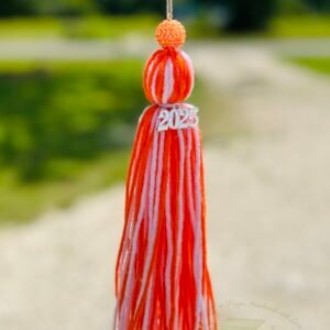 2025 Senior Graduation Tassel